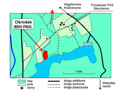Plan dojścia do Wąglikowic