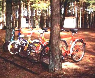 Ogólnodostępne rowery przydatne przy aprowizacji