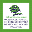 logo WFOSiGW